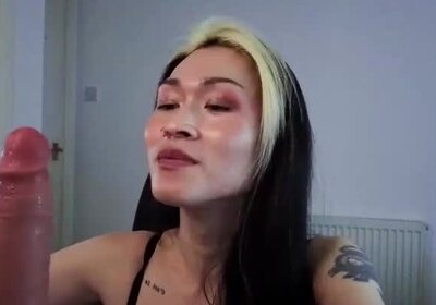 Shemale glides her hands all over her shaft.