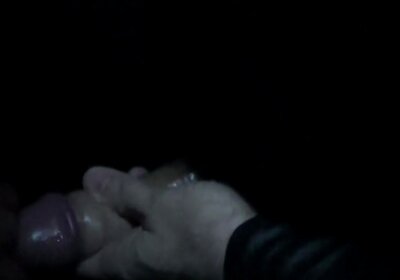 TS Milked from Troon Scotland