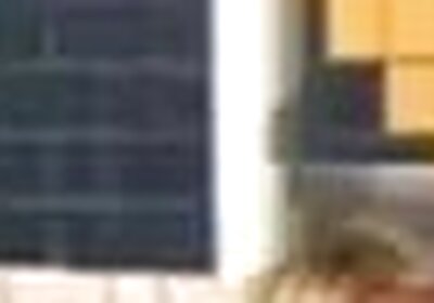 Shemales bigcooktranny