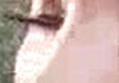 trans500 shemalesget