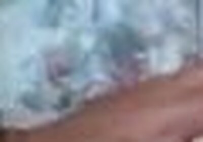 Trans500 bruna agthayla