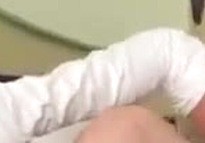 Trans500 onde conquistar uma boneca