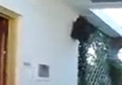 Trans500 boneca venezuelana