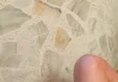 Trans500 trans venezuelana