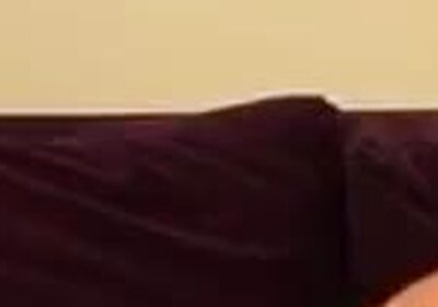 Trans500 transdelicia