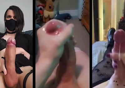 Shemale protein Mix 2