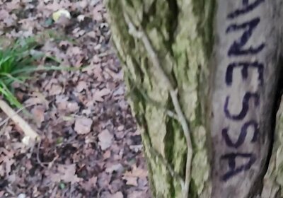 😓LaSaison reprend Mon Lieux d'Exhib est infesté de Putes en claquettes. Brunoy parking Napoleon