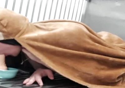 Angeluka  is having fun in her cage 2023