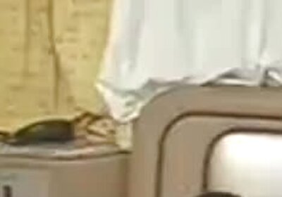 Transex_com_Nathany_gomes